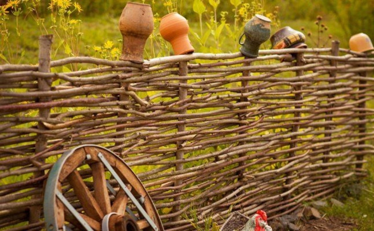 Подсолнухи в деревне