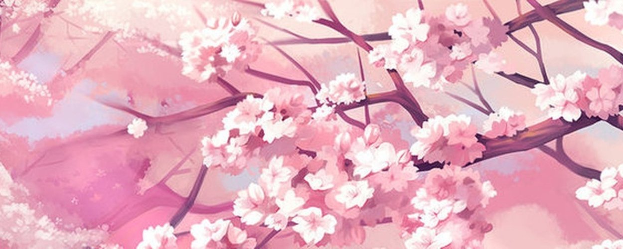 Ветка Сакуры
