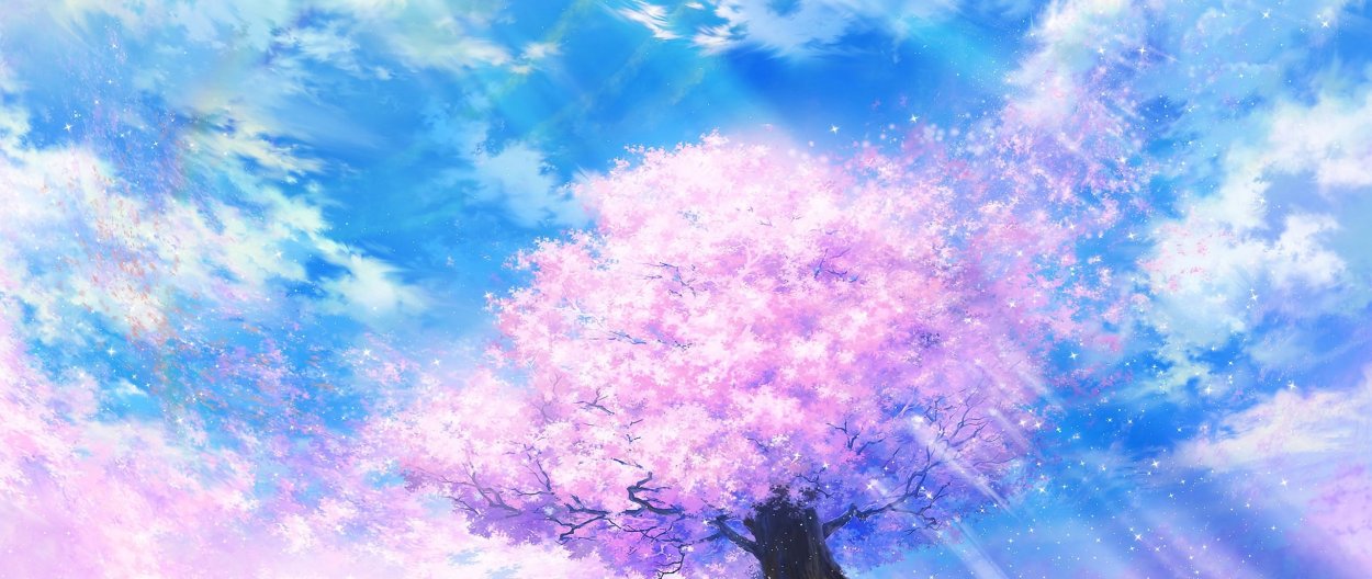 Вишня черри блоссом