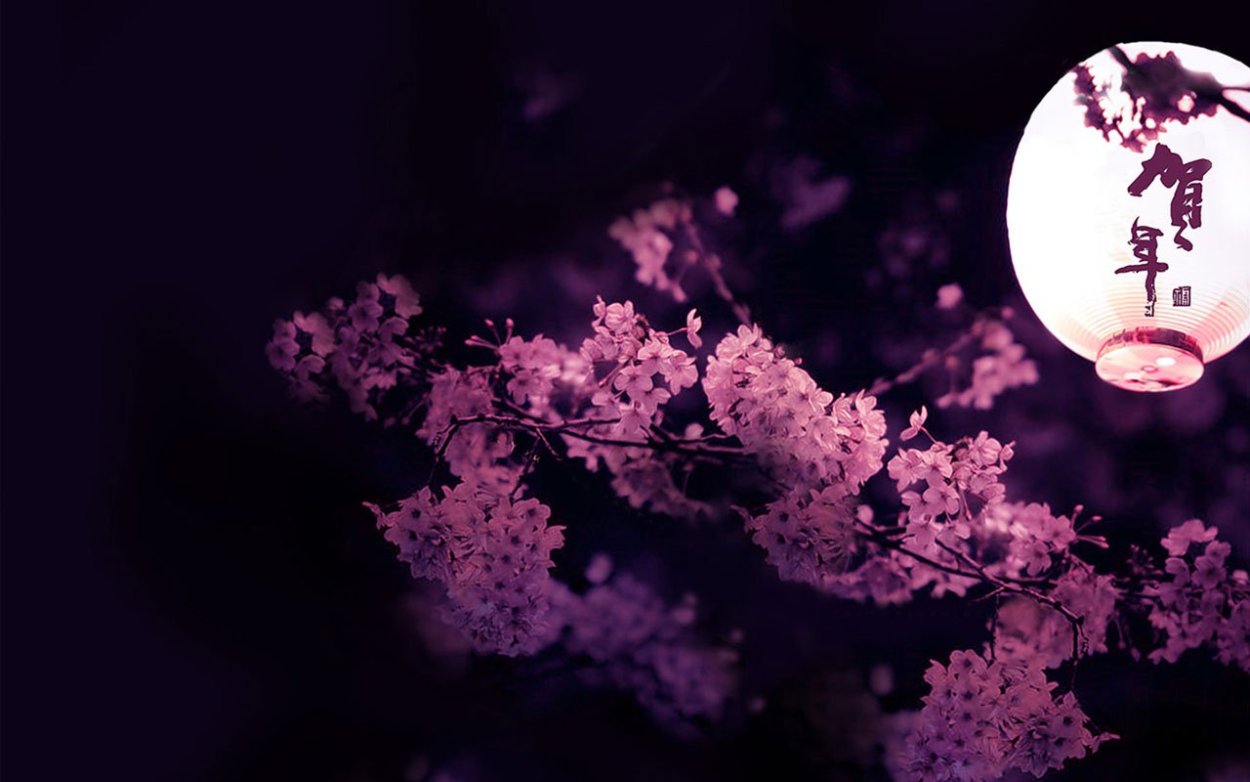 Черри блоссом аниме