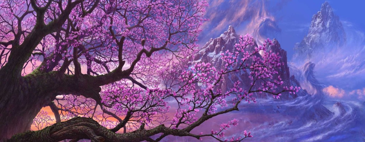 Сакура блоссом