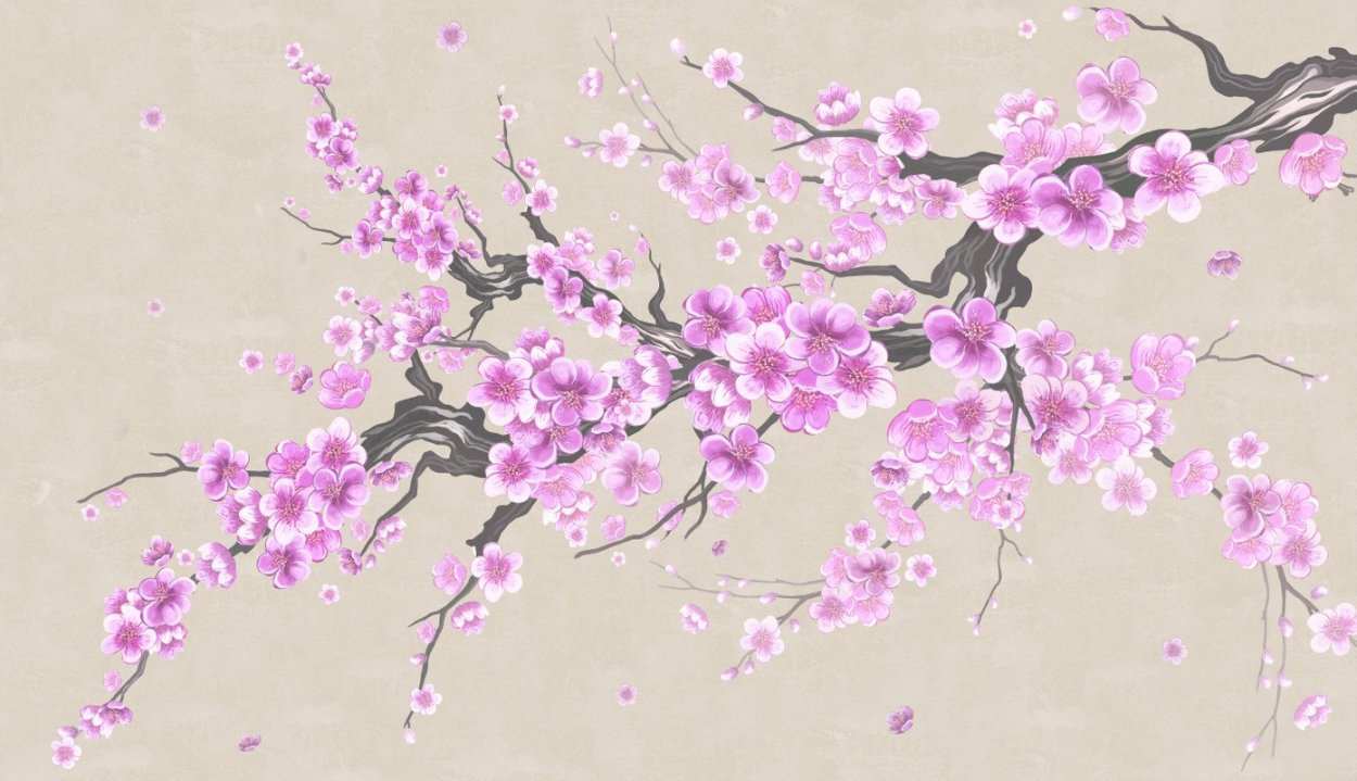 Вечноцветущая Сакура аниме