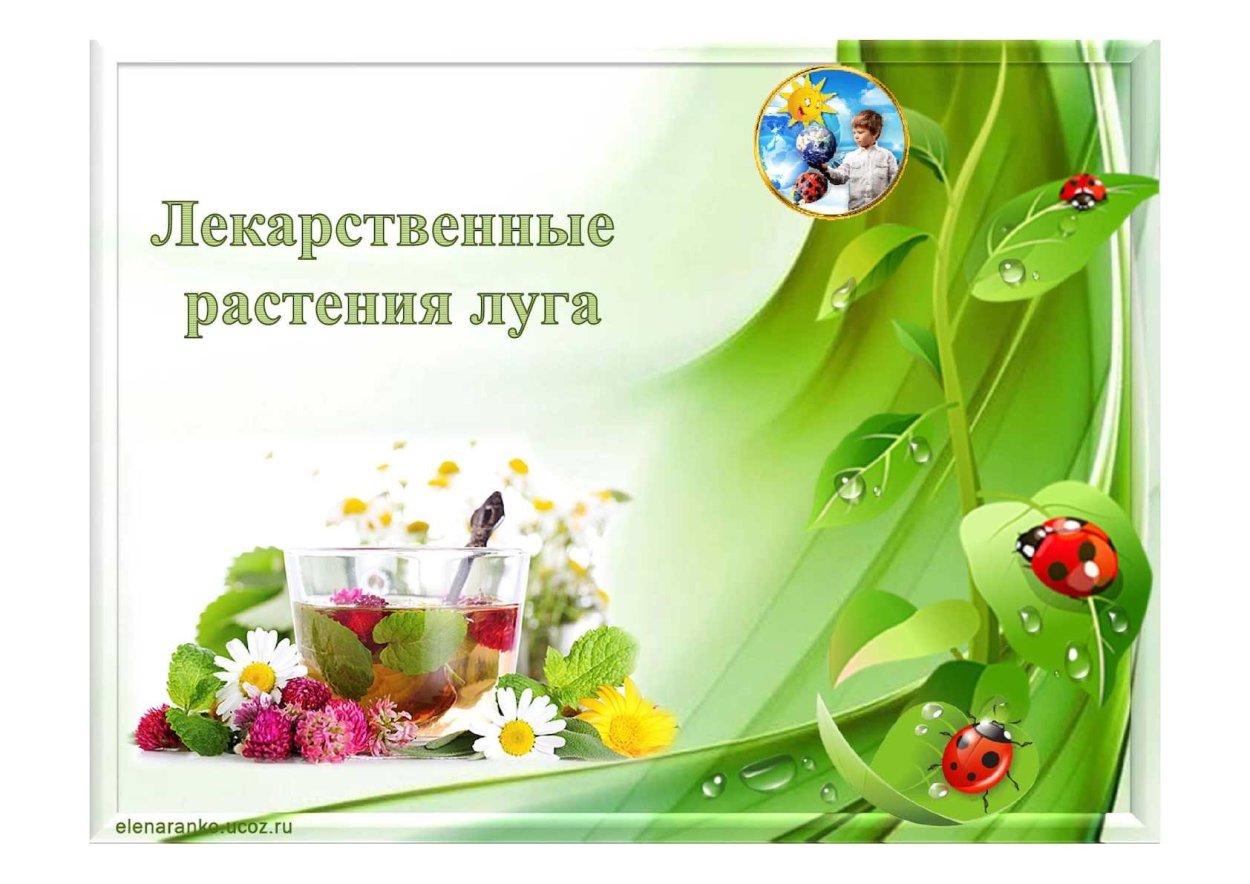 Лекарственные растения и ядовитые растения