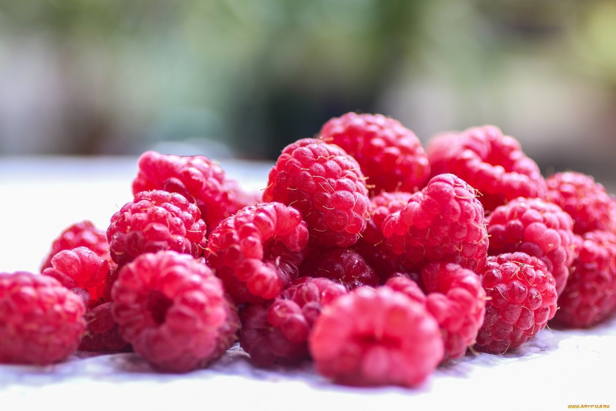 Фон пастель