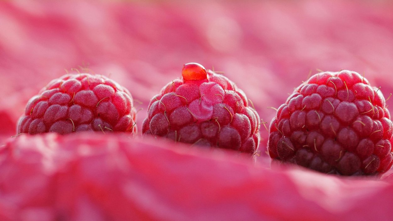 Розовые ягоды
