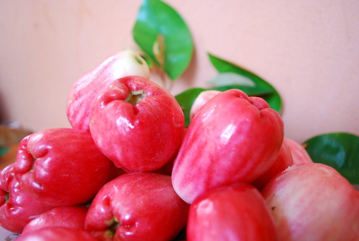 Фрукты брызги