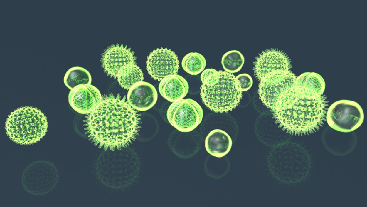 Фитопланктон вольвокс