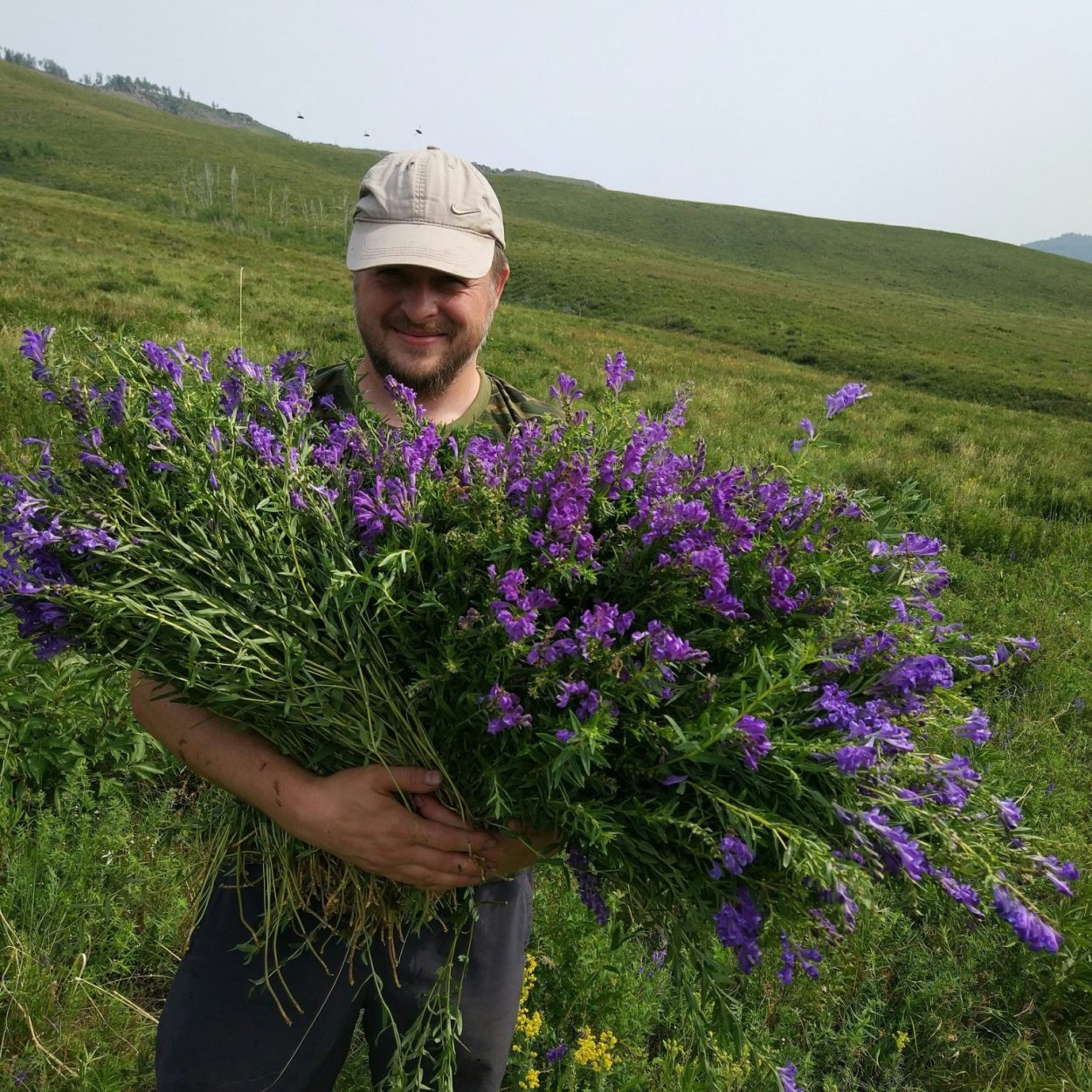 Лечебные травы Забайкалья