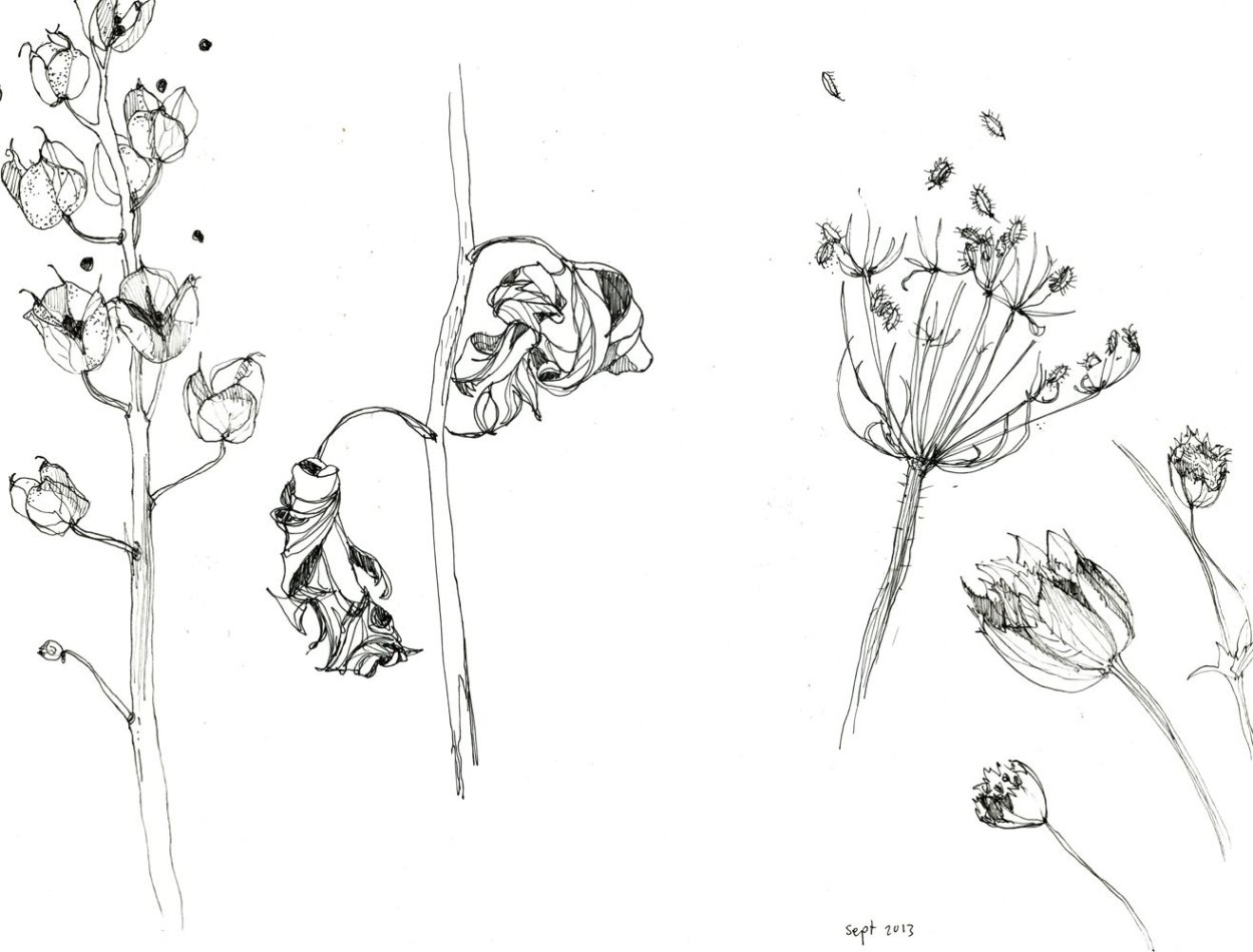 Мини тату эскизы растения