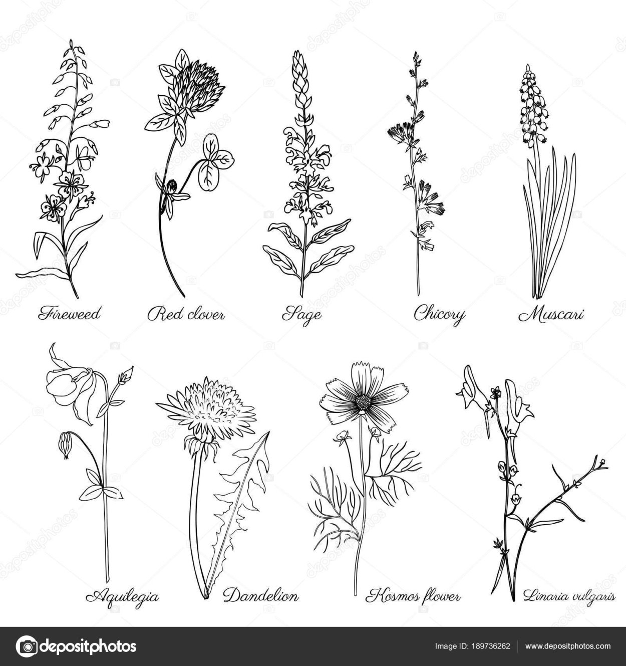 Наклейки полевые травы