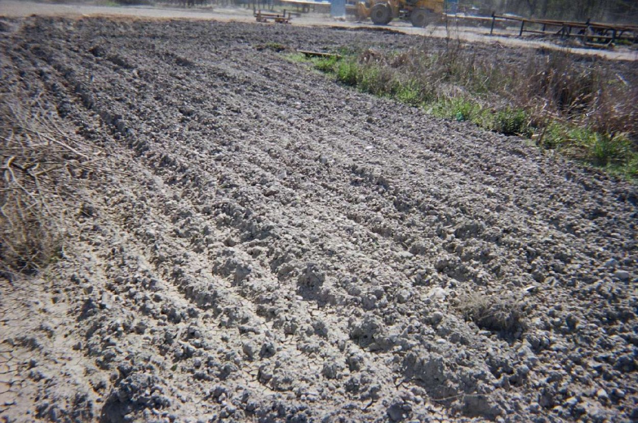 Гипсование почв