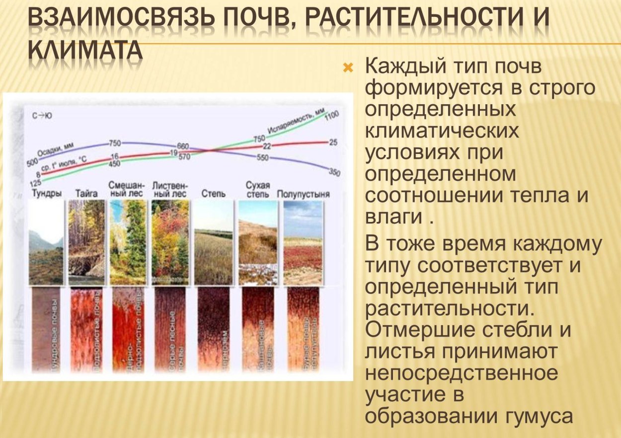 Каштановые почвы испаряемость