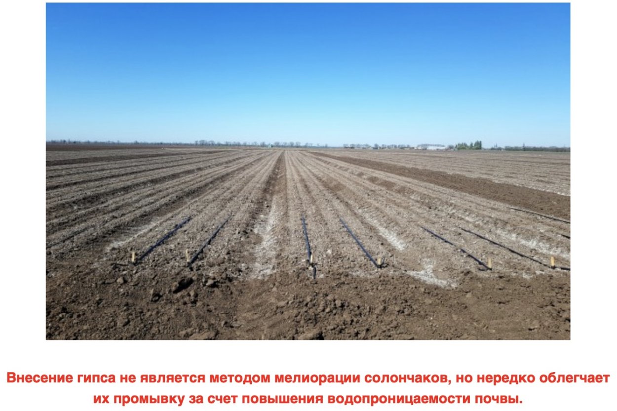 Культуры на песчаных почвах