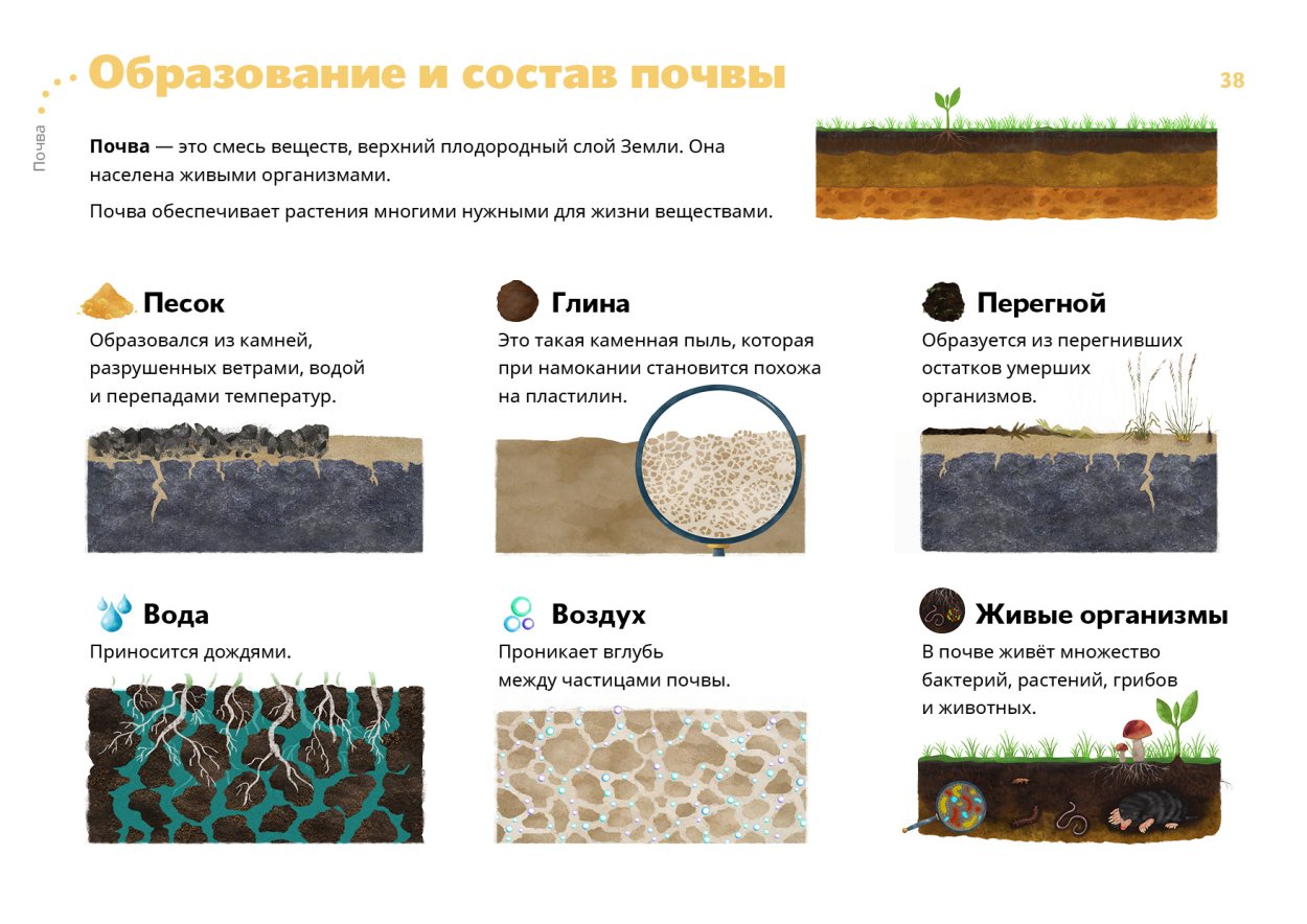 Переуплотнение почв