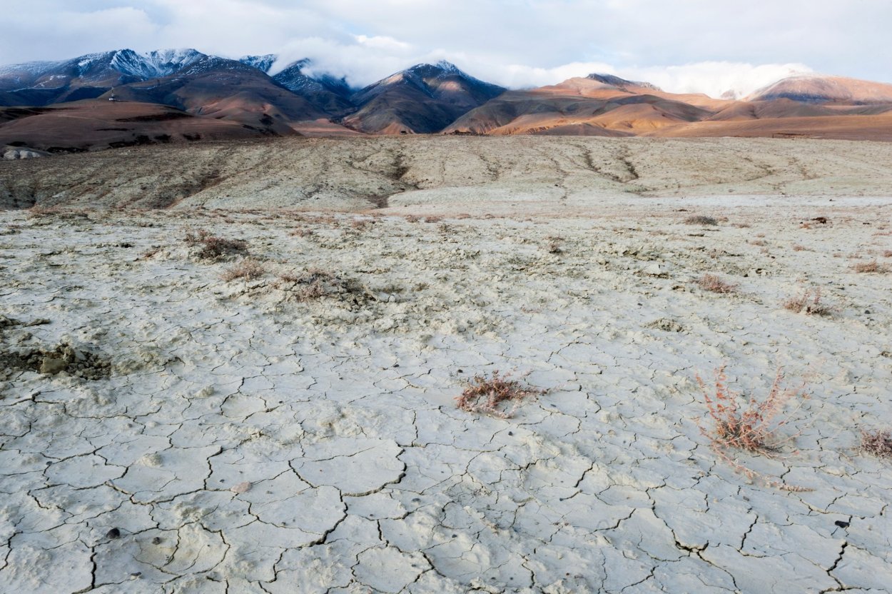 Каменная пустыня Кош Агач