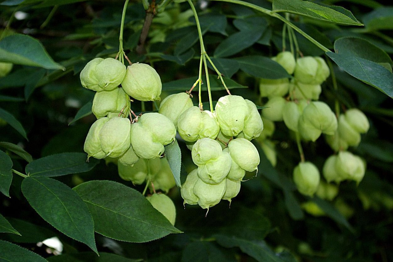 ДЖОНДЖОЛИ Тверская 30/2