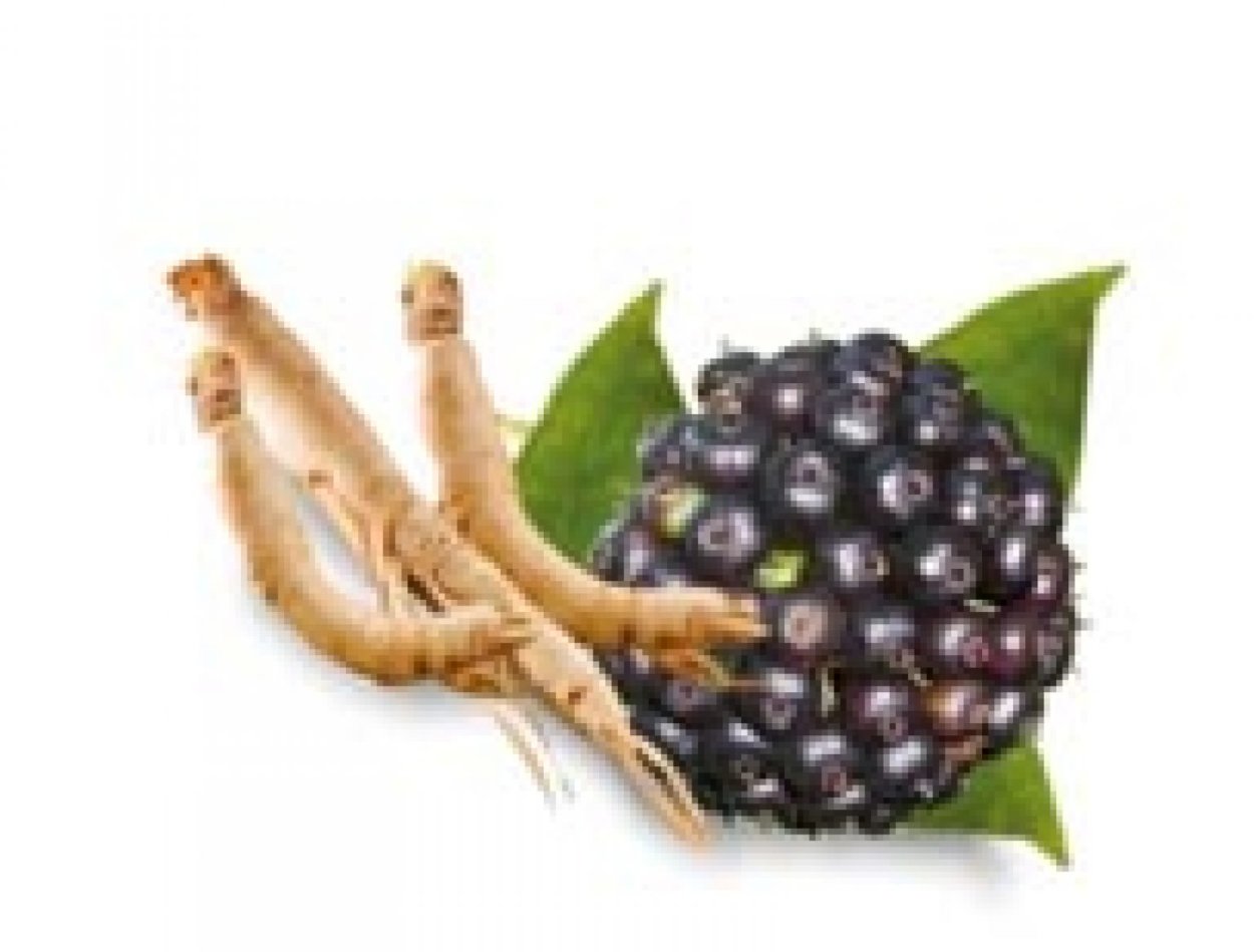 Элеутерококк колючий кустарник