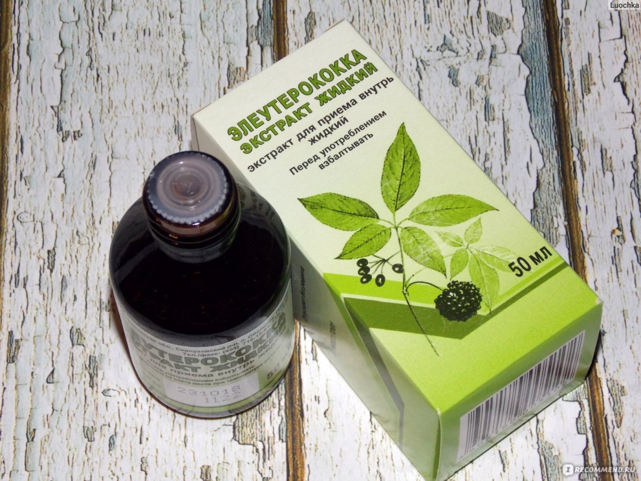 Элеутерококк Дальний Восток