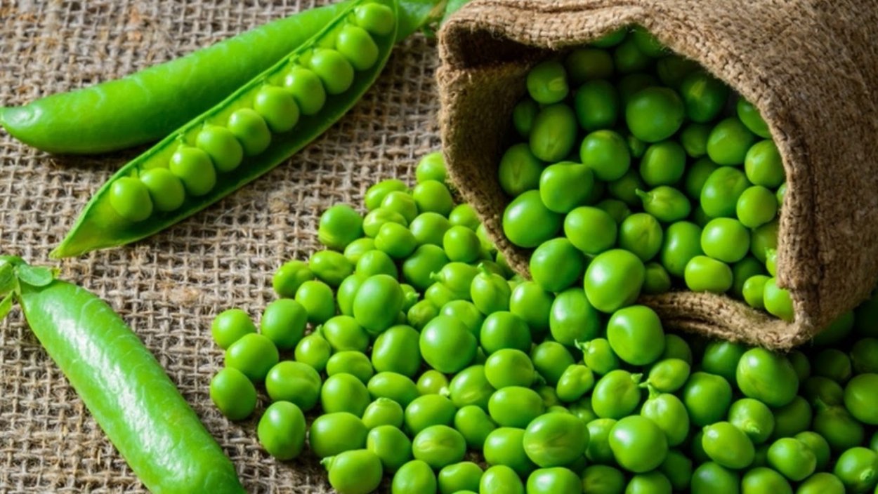 Зеленый горошек текстура