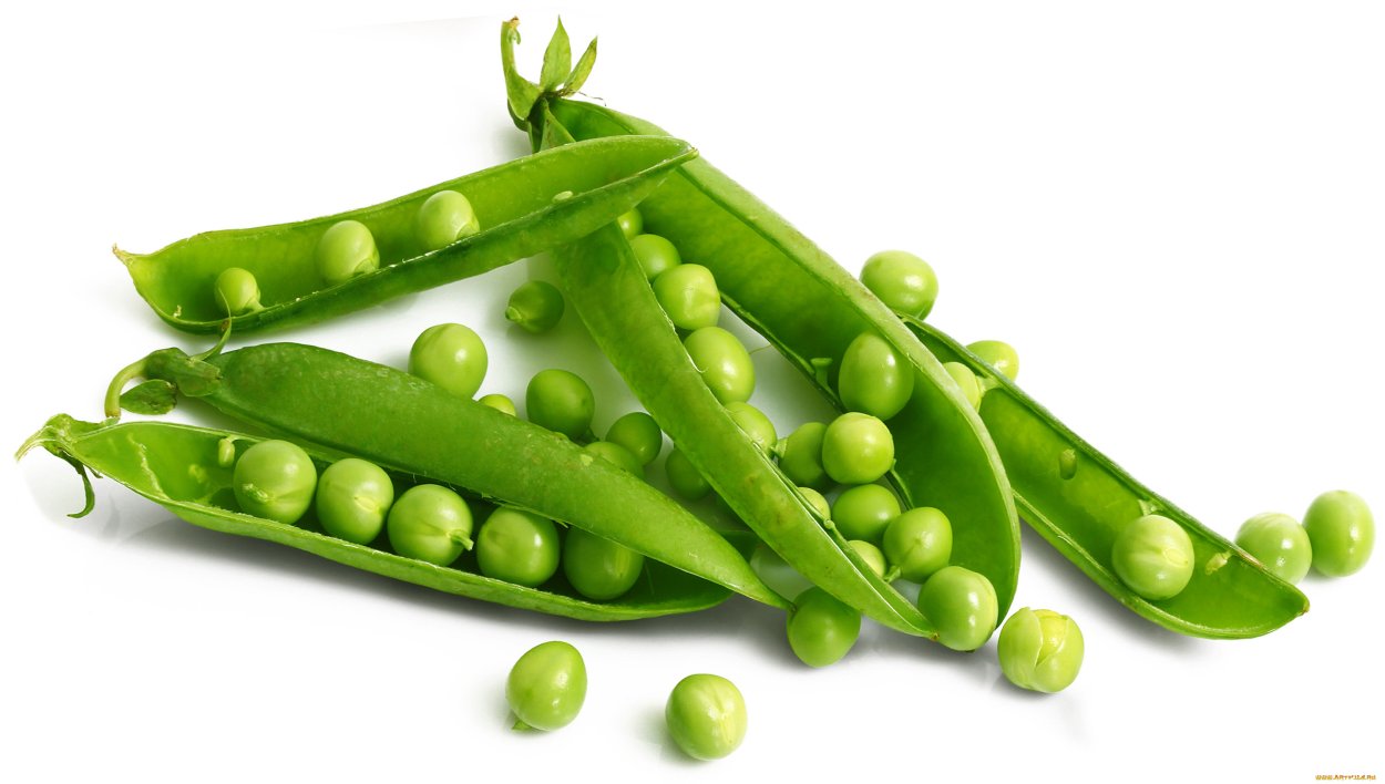 Горох картинка для детей