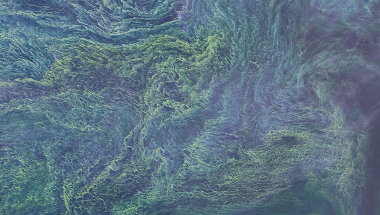 Разноцветная река Каньо-Кристалес (Колумбия)