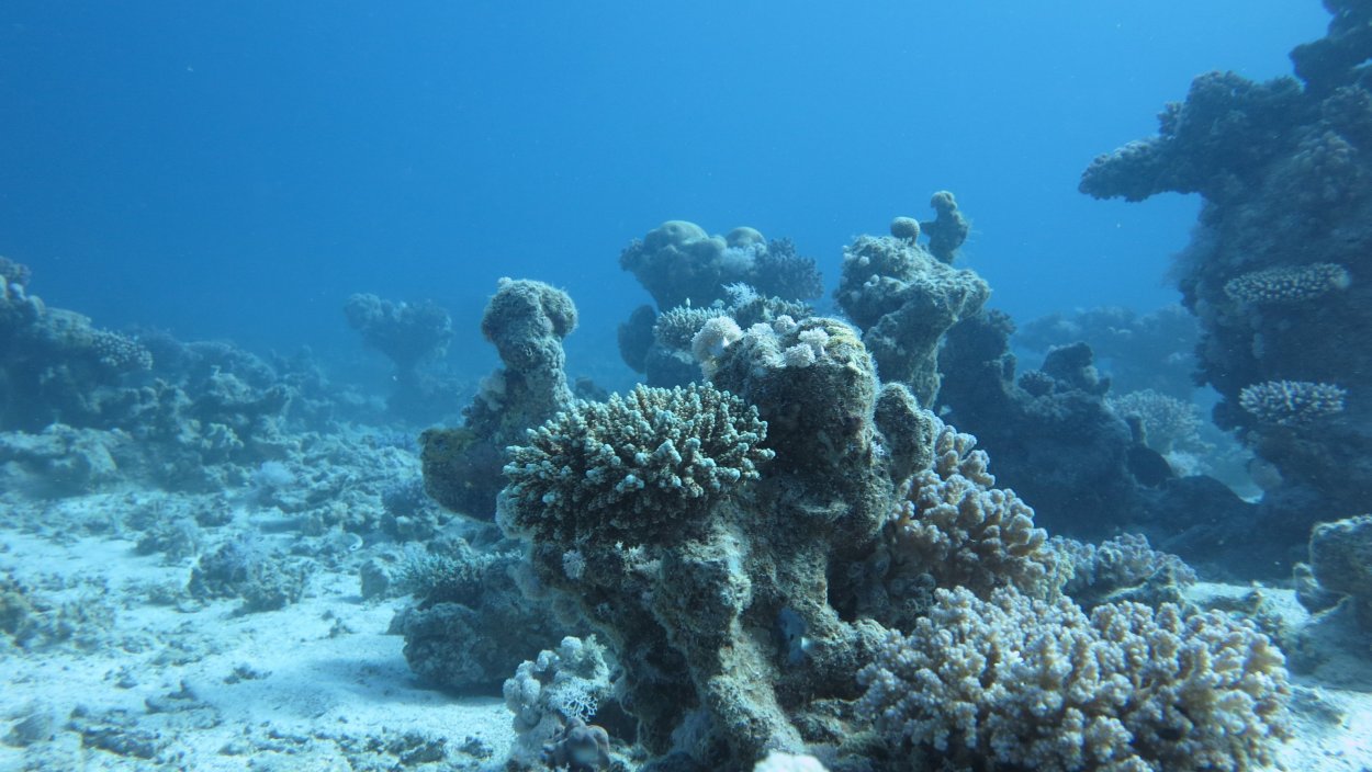 Янтарный берег Калининград