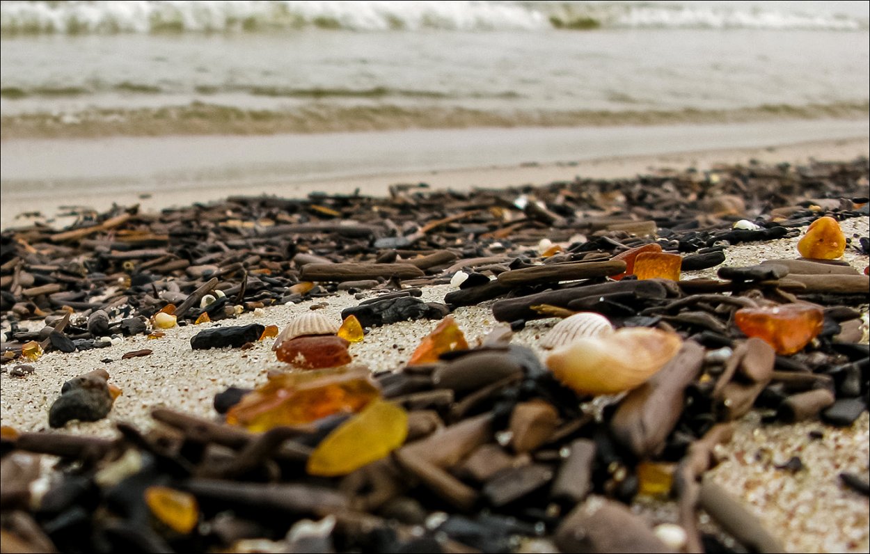 Страшные водоросли в волнах