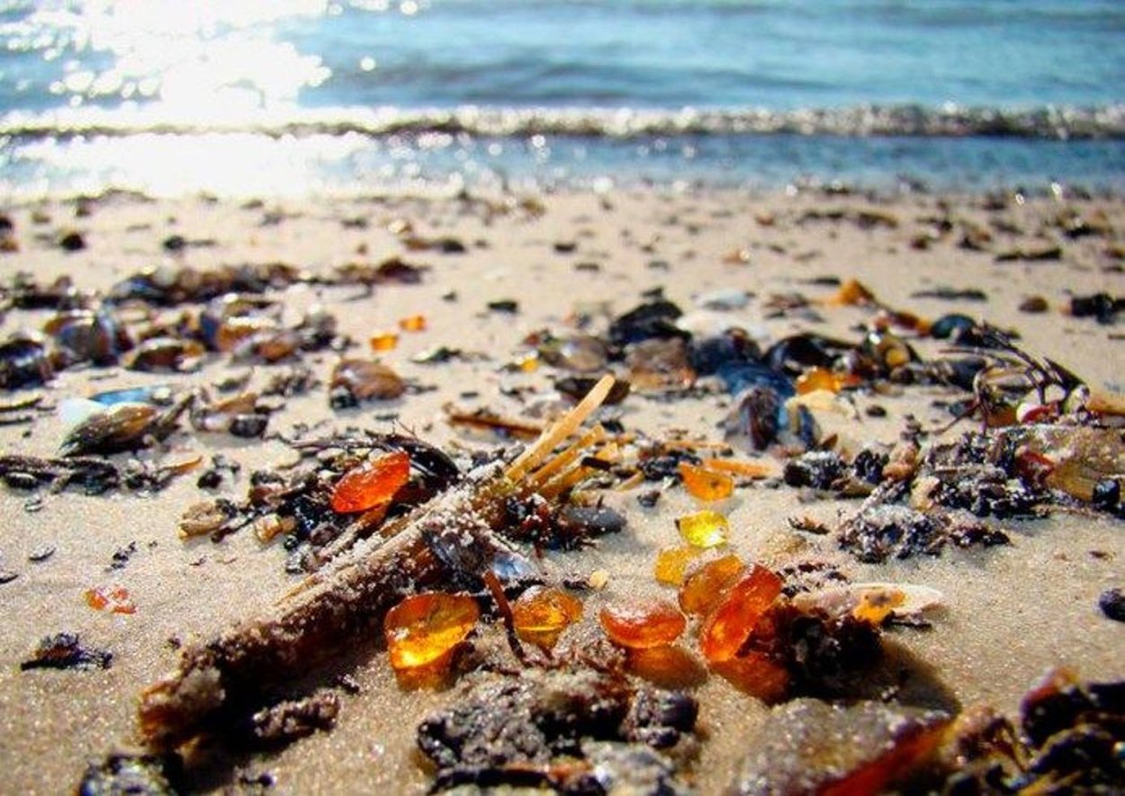 Эвтрофикация Балтийского моря