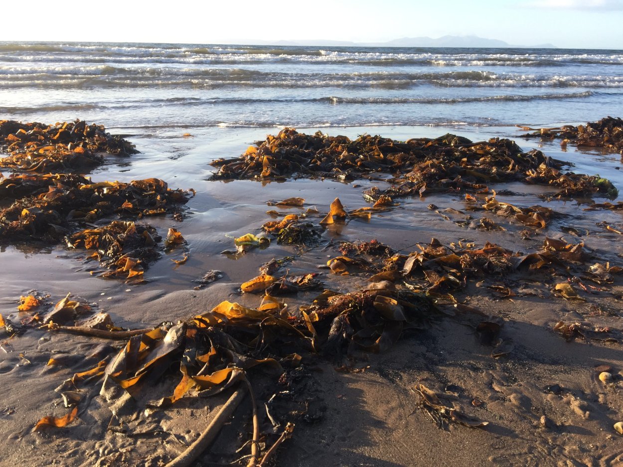 Балтийское море Горизонт