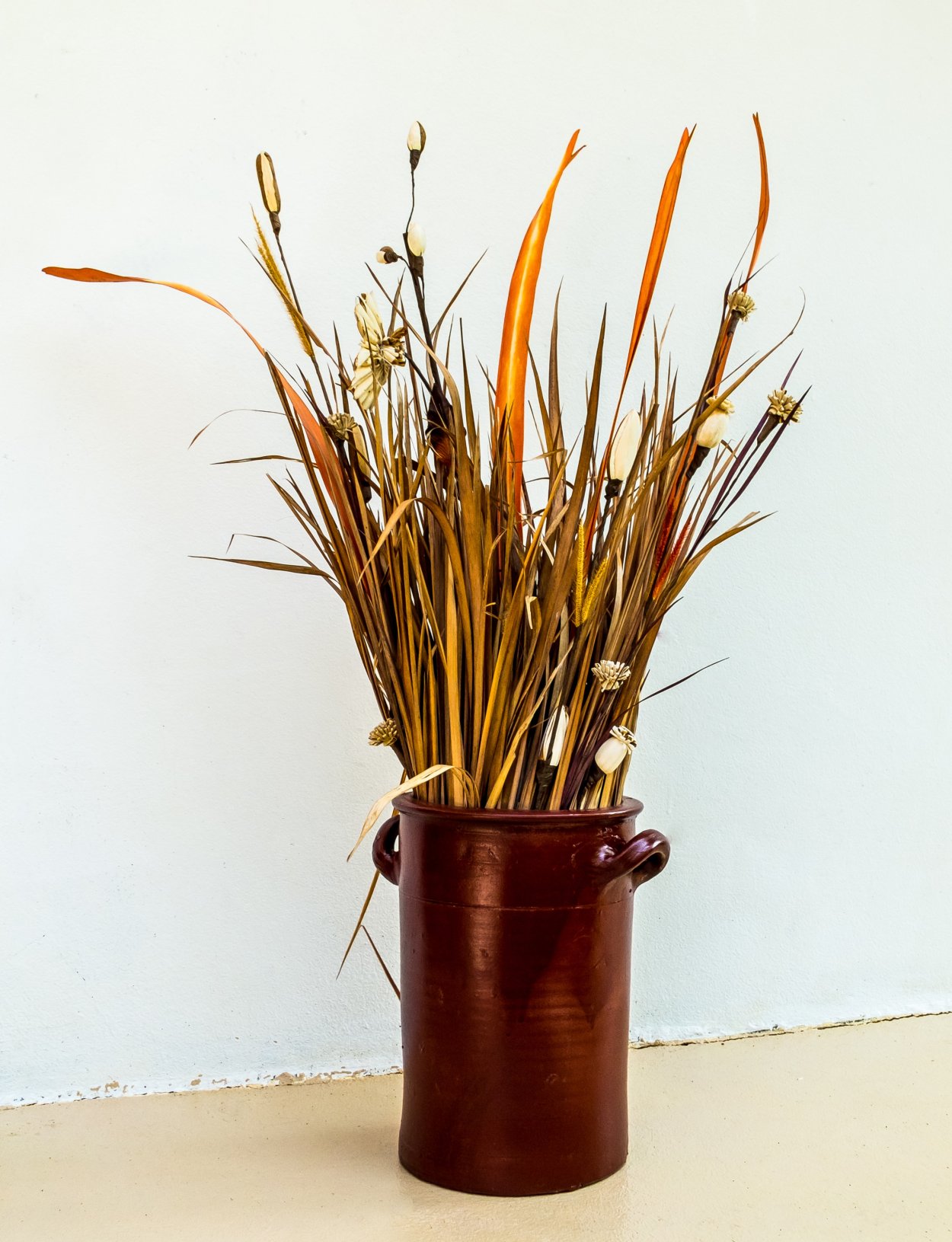 Сухоцветы Пинтерест