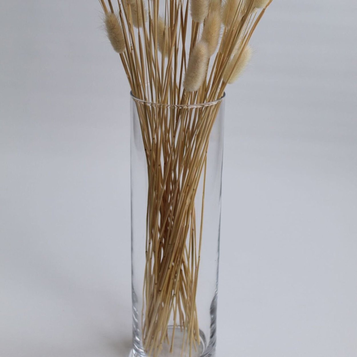 Тростник в вазе