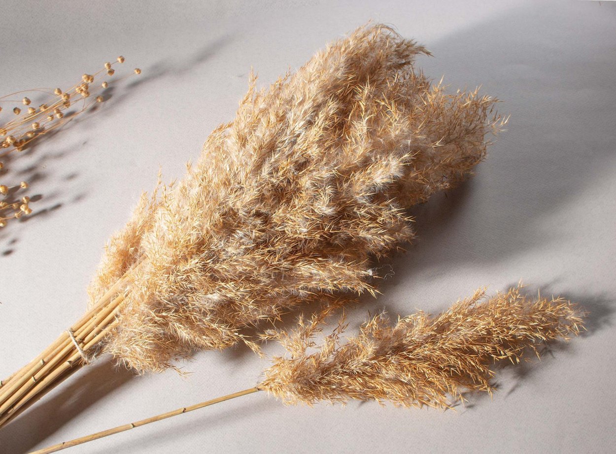 Ваза с камышами в интерьере