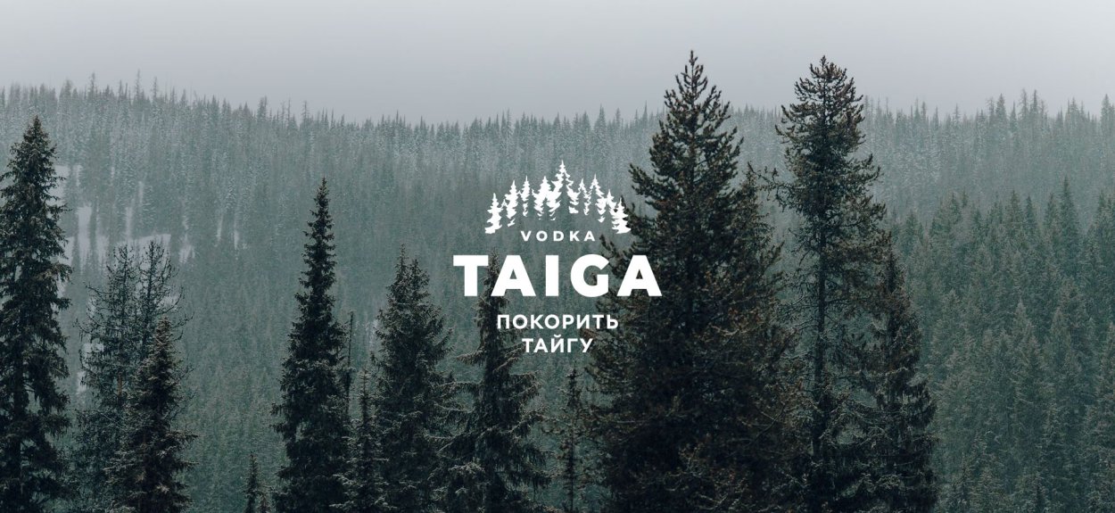 Сибирский лес Сибирская Тайга