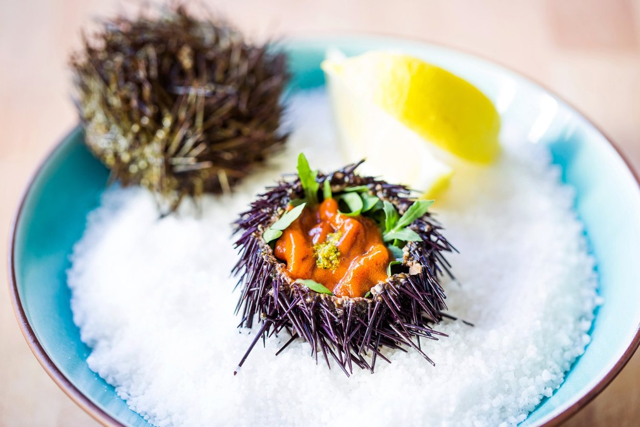 Морские Ежи в ресторанах Москвы