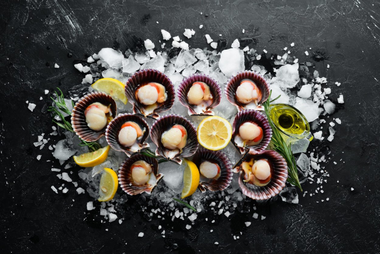 Морской гребешок с икрой