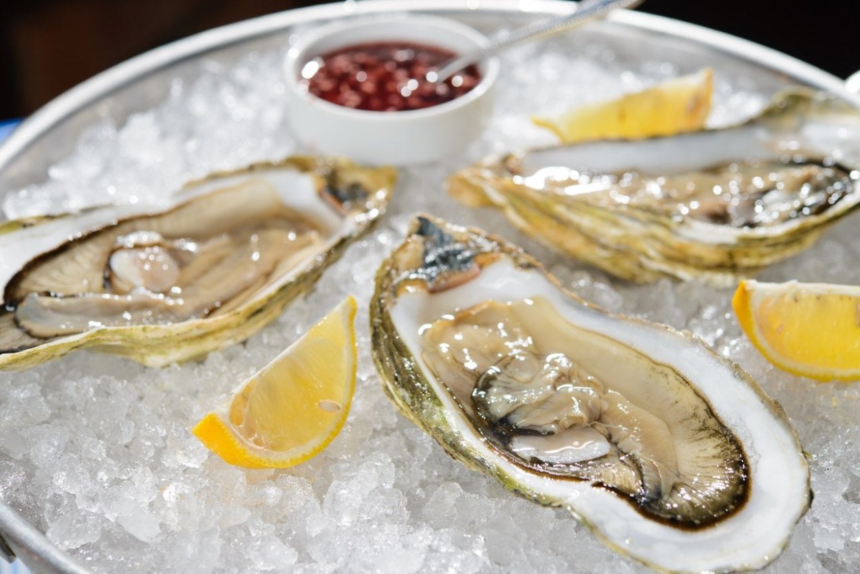 Мидии Северного Ледовитого океана