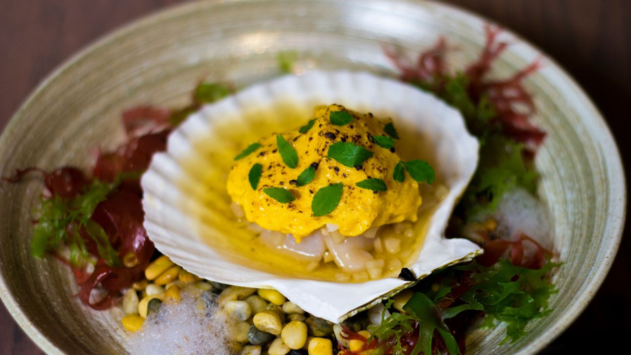 Морской гребешок капуста