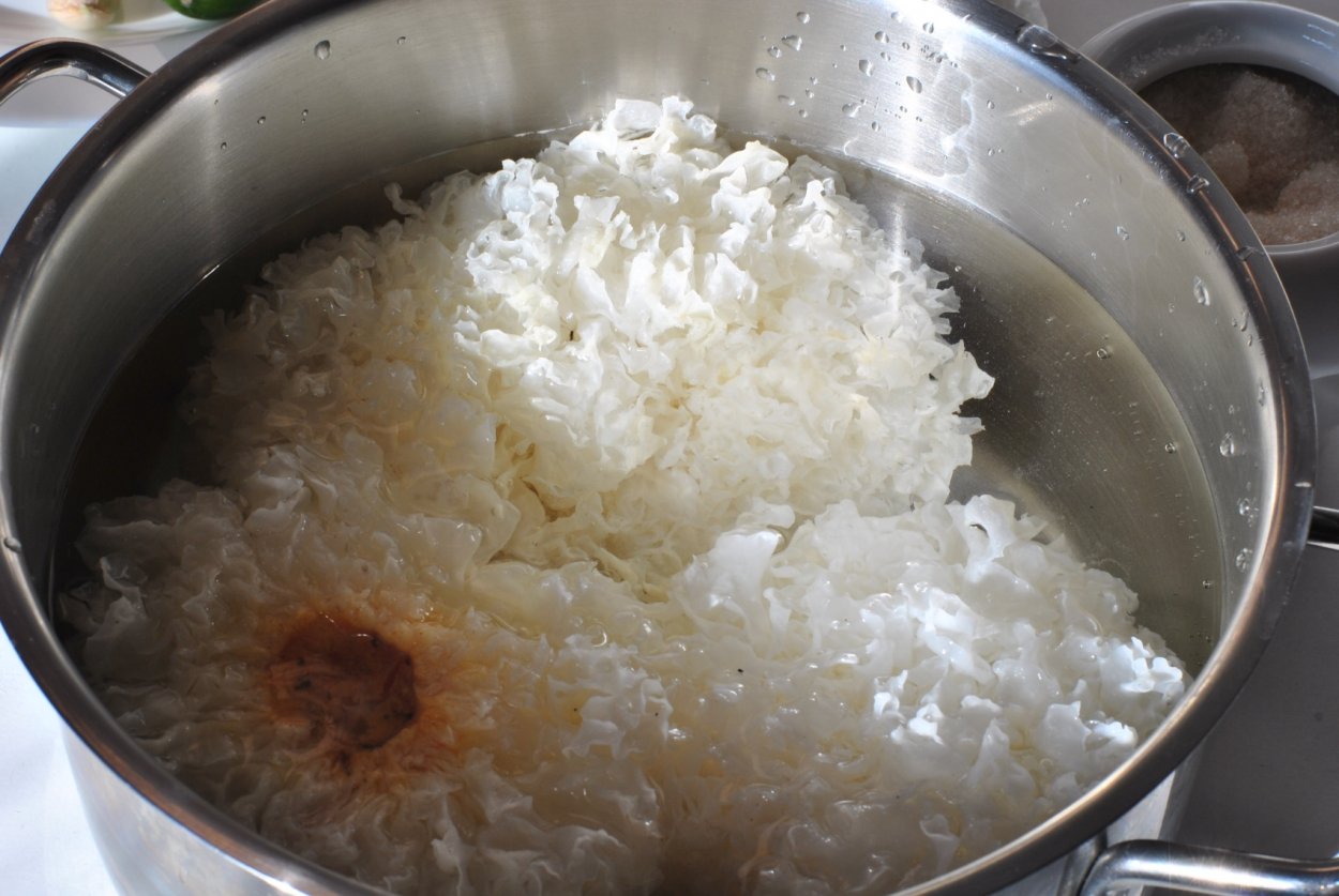 Морской еж Баренцева моря