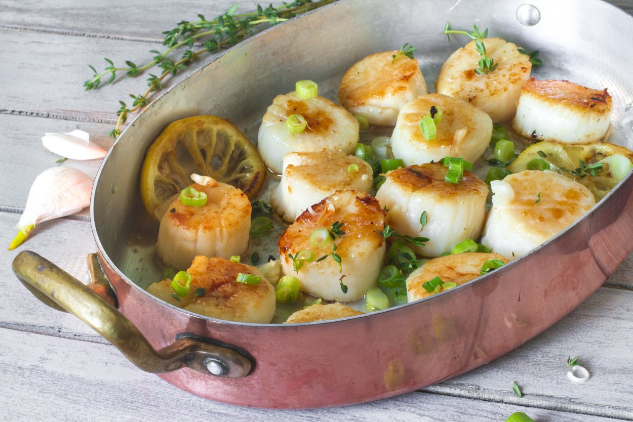 Морской гребешок на полустворке