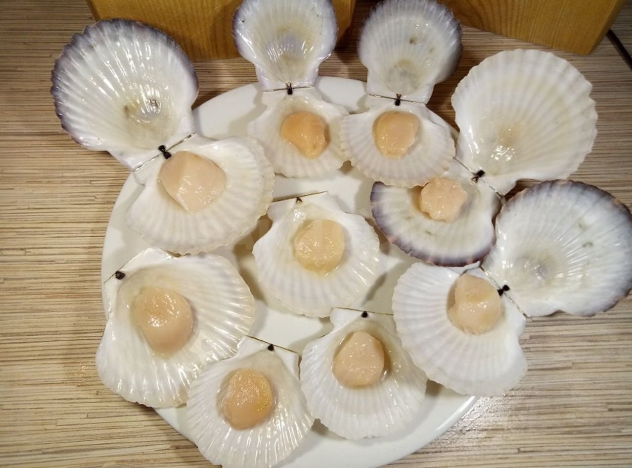 Краб колючий Дальневосточный