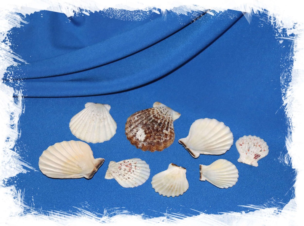 Салат чука с ореховым соусом