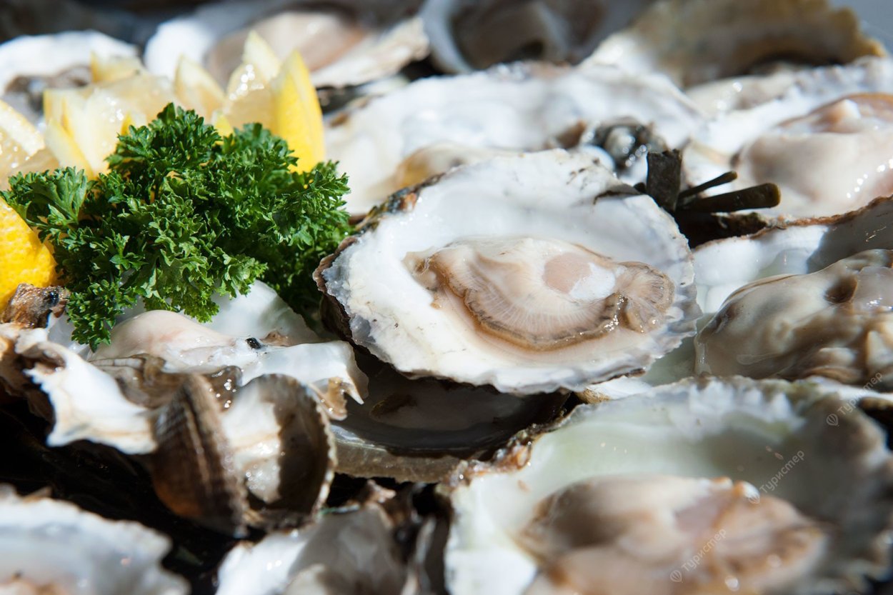 Коралл Поциллопора 20-22.5 см