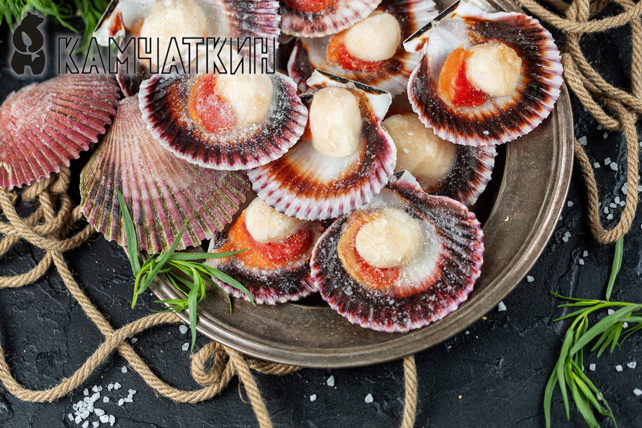 Гребешки водоросли фото