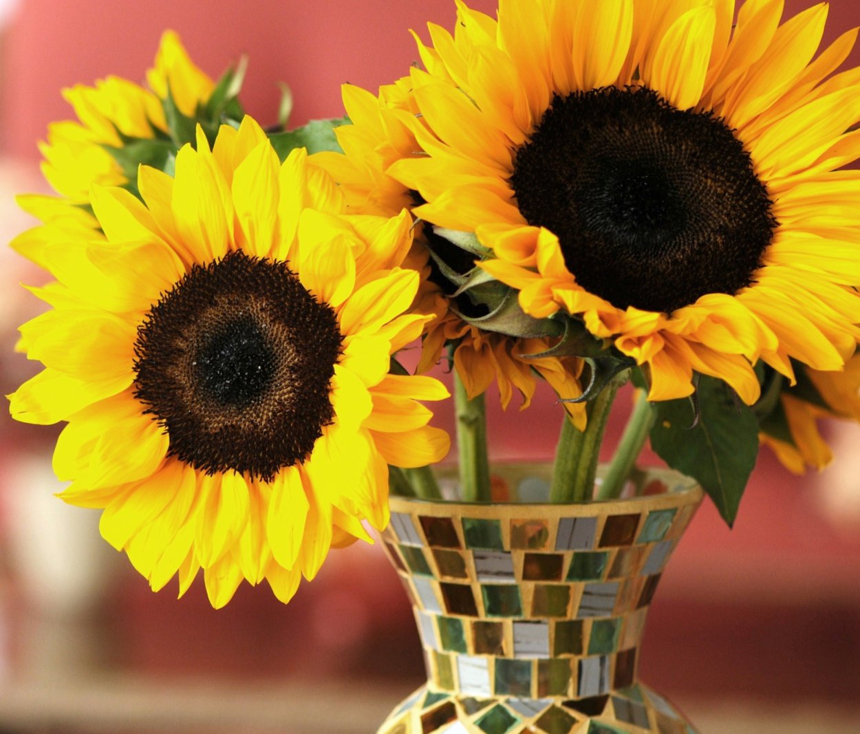 Натюрморт с подсолнухами (Марина Юкиш)