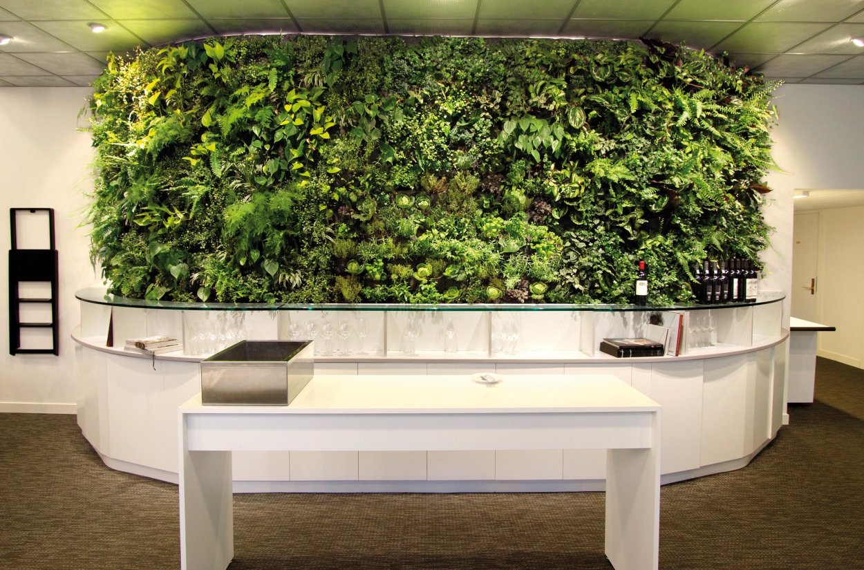 Цветы на стене в интерьере живые