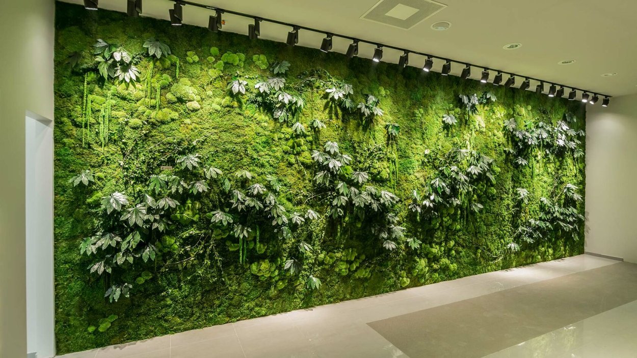 Боксанды вертикальное Озеленение