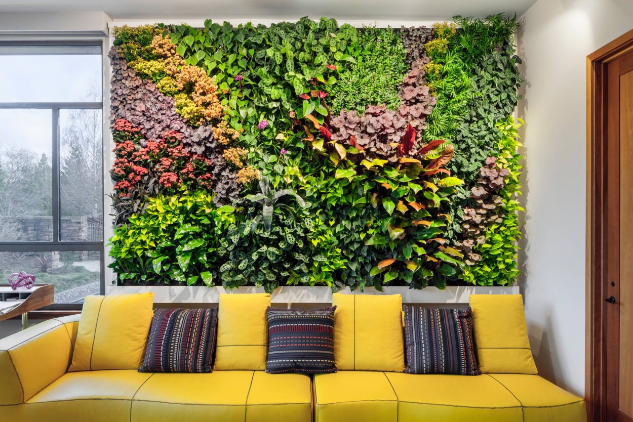 Фитостена из живых растений в квартире