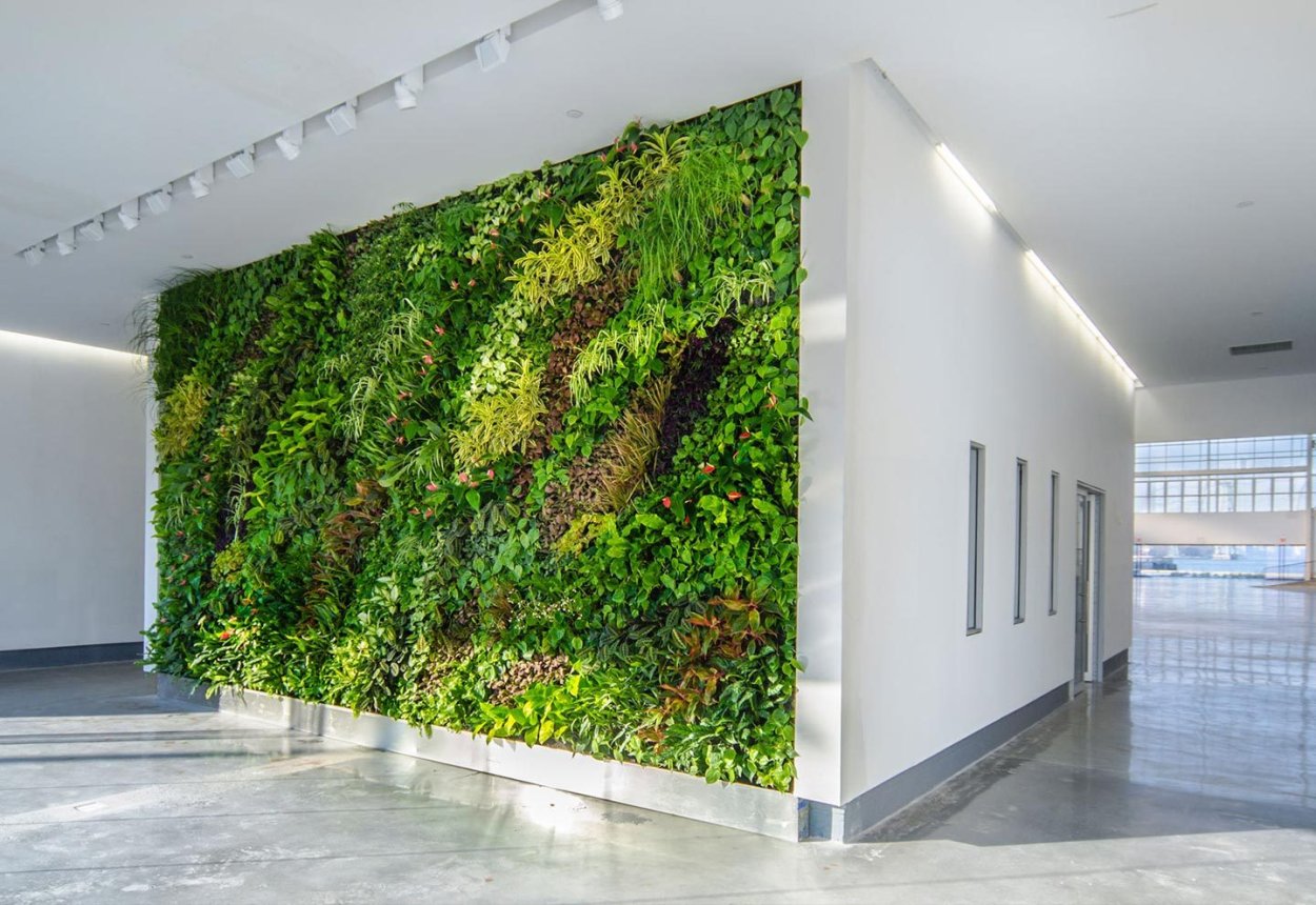 Фитостены мох