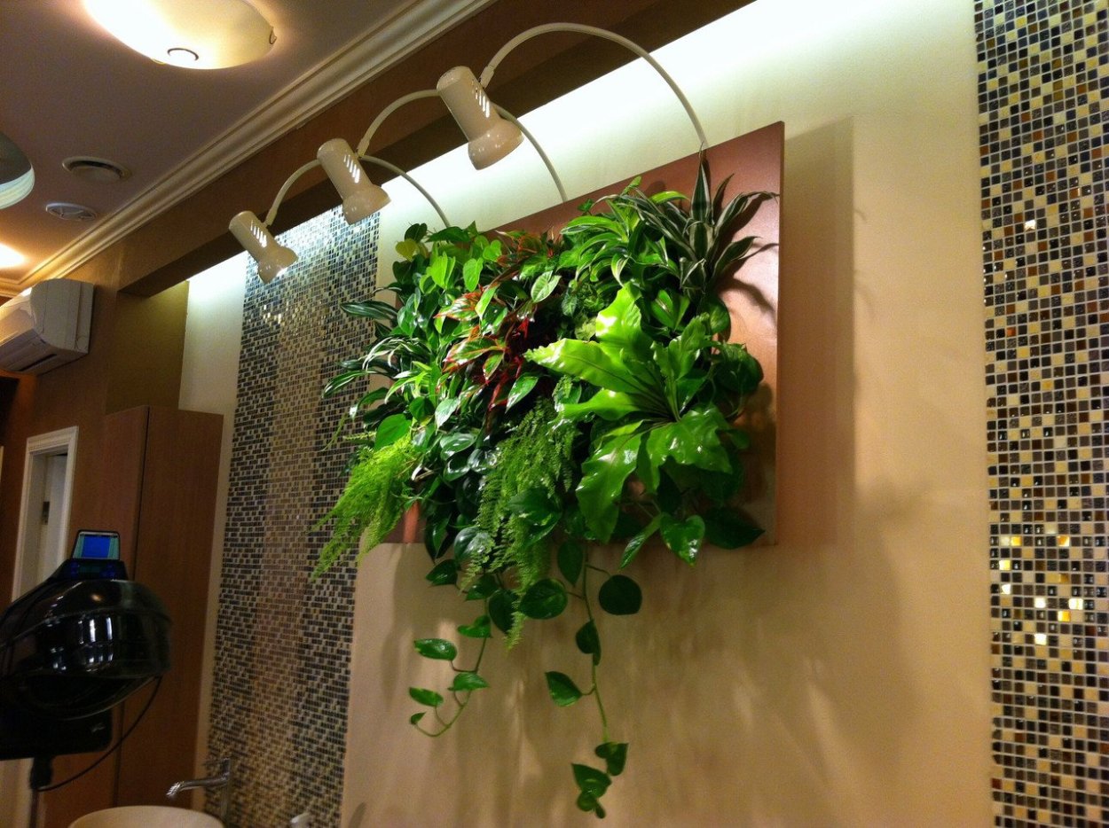 Фитостена петрушка укроп