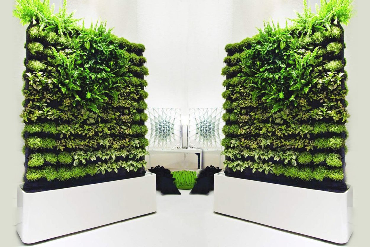 Лиана Грин вертикальное Озеленение